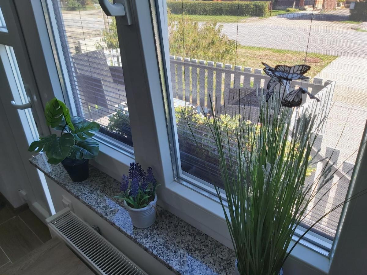 Studio Apartman Draga Velika Ludina Екстериор снимка